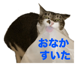 655680090