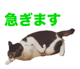 655680092