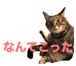 655680105
