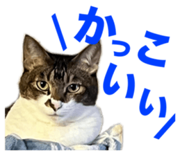 655680113