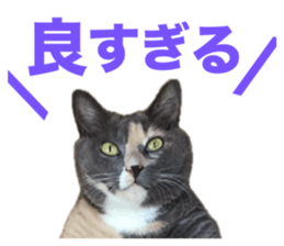 655680116