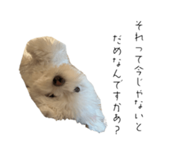 655686632