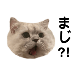 655686653