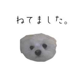 655686656