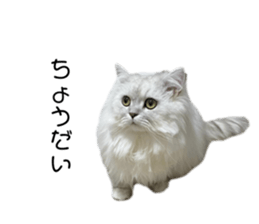 655686661