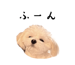 655686662