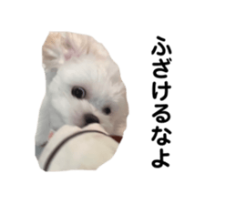 655686664