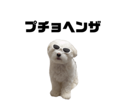 655686669