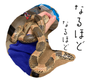 655687400