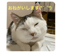 655700318