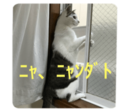 655700322