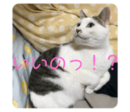 655700324
