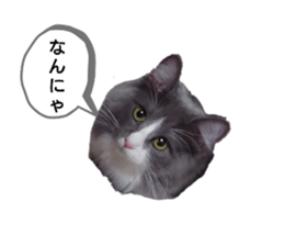 655700454