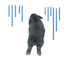 655708521