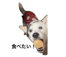 655714563