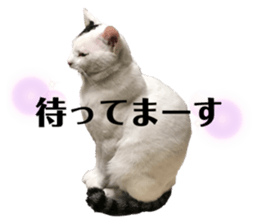 655717339