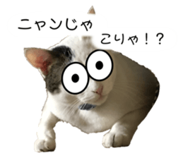 655717340