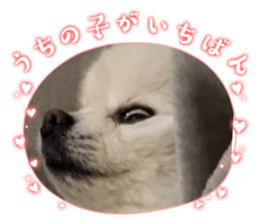 655718717