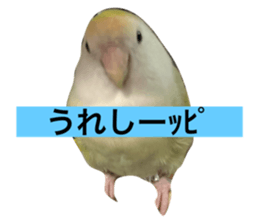 655719590