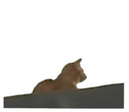 655720043