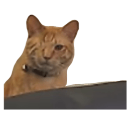 655720044