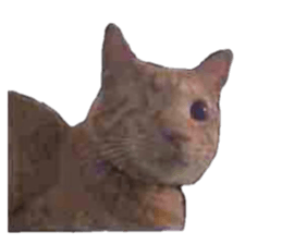 655720045
