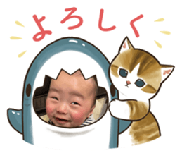 655722860