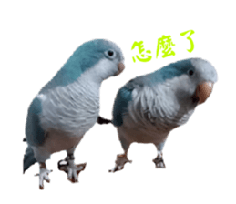 655730196