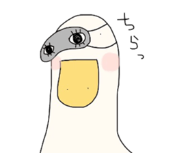 6557722