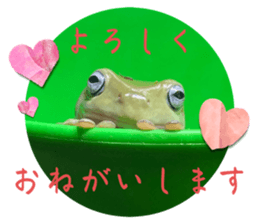 655775321