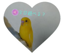 655795215