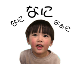 655795466
