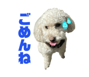 655823286