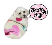 655823289