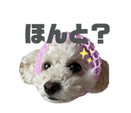 655823291