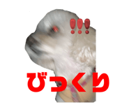 655823292