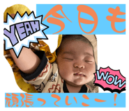 655833306
