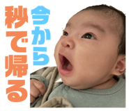 655833308