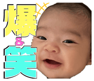 655833311