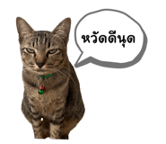 655835006