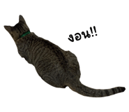 655835010