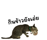 655835012