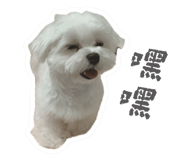 655859834