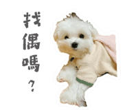 655859844