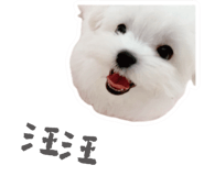 655859849