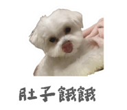 655859860