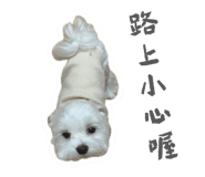 655859863