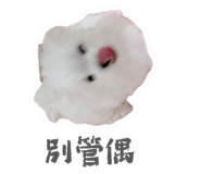 655859864