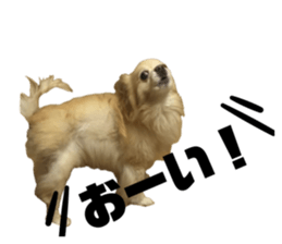 655909209