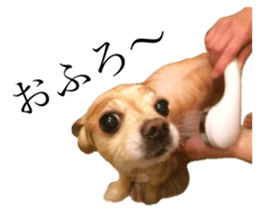 655909227